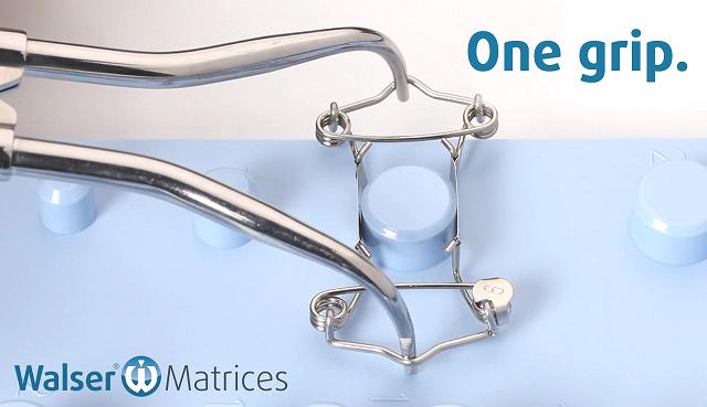 La matriz dental se tensa y se retira de la bandeja