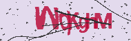 Codice captcha