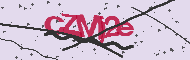 Codice captcha