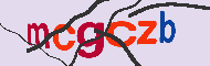 Code captcha