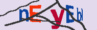 Code captcha